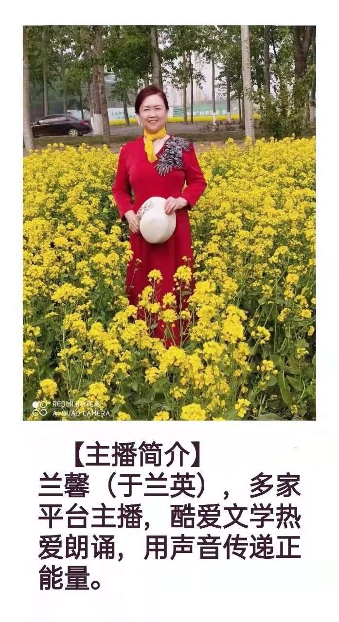七夕遐想 文/侯文香 主播/于兰英（图9）