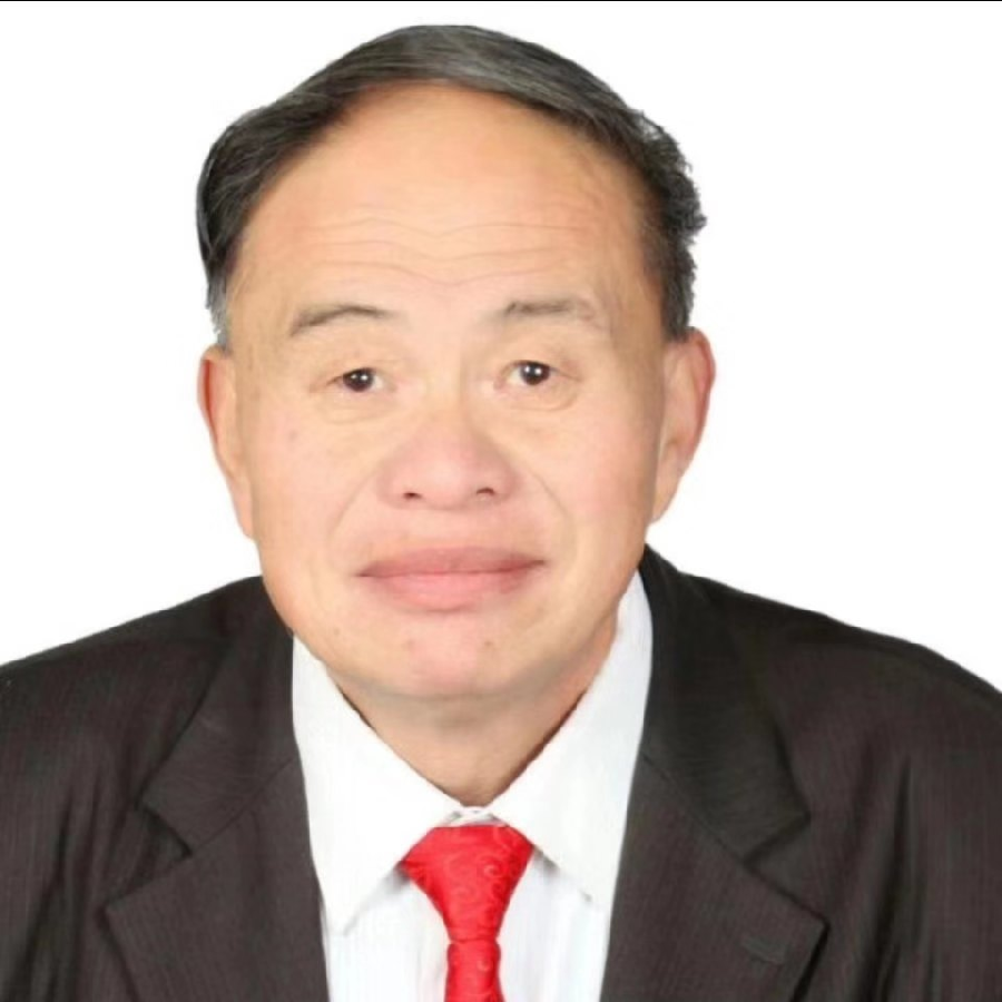 葛吉武：《过街老鼠佩洛西》
