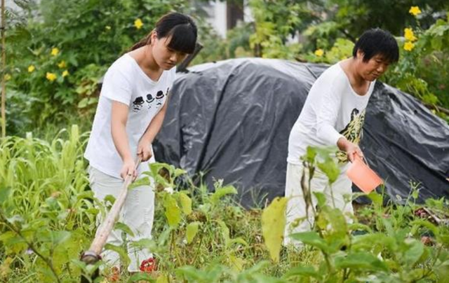 《故道文化》“消夏”参赛作品:第49号(图4)