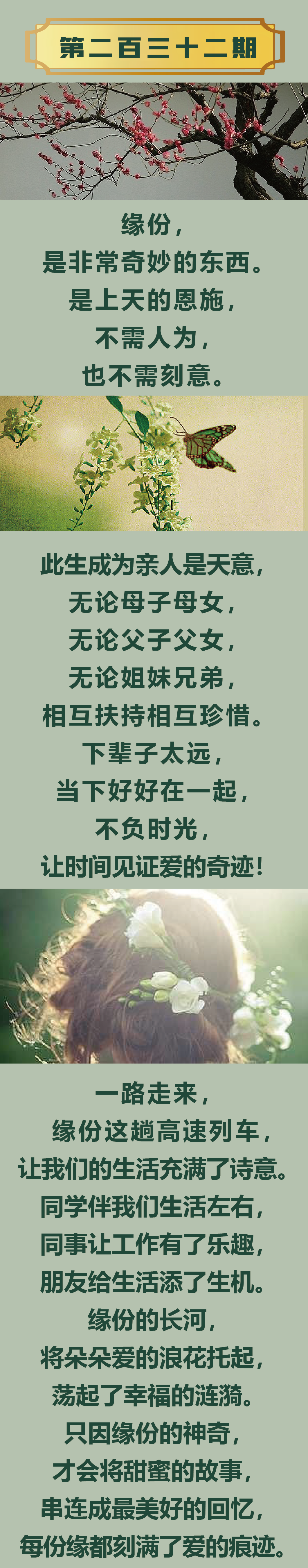 缂樹唤-2.png