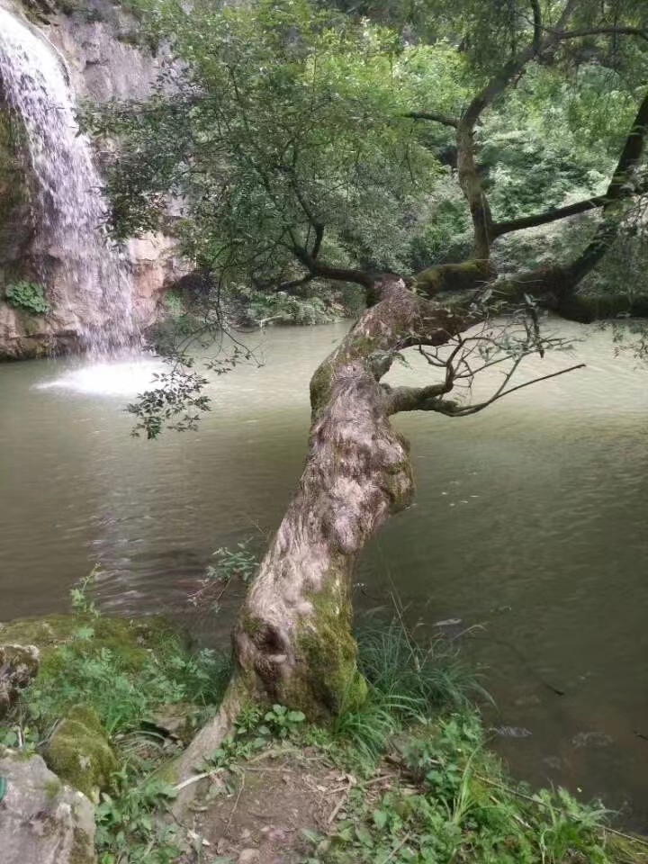 夏游梁沟 〔外二首〕文／陇上（陇南）【冰心文化传媒】（图8）