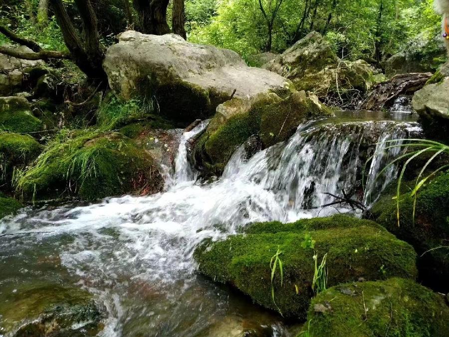 夏游梁沟 〔外二首〕文／陇上（陇南）【冰心文化传媒】（图7）