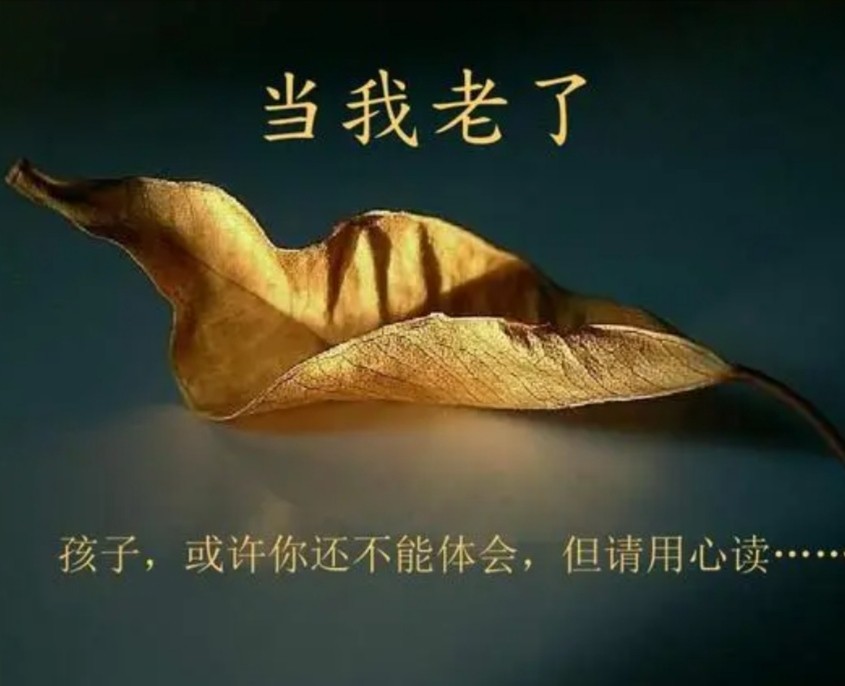 齐家《当我老了》||诵读：小黎（图3）