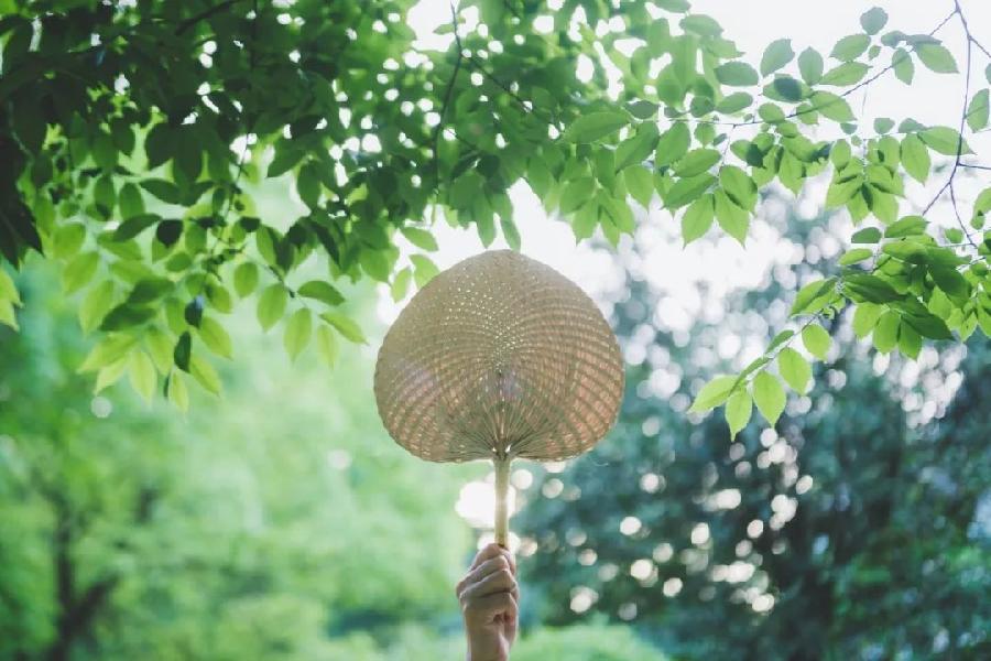 中伏丨三忌,三宜,三秘诀,过好最热20天!(图4)