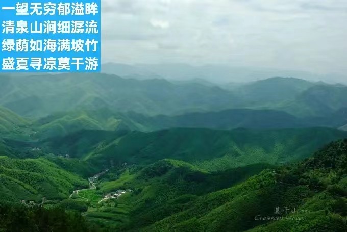 题图-江南称秀莫干山（外一首）文/小茶一丛（图4）