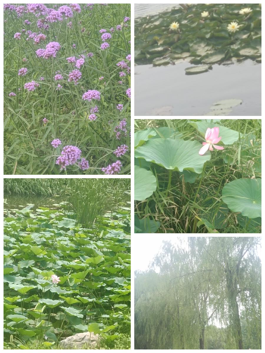 酷暑游