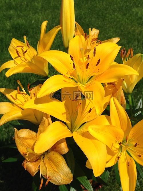 星火诗社九十二期梁同余个人专辑《百花争艳,百韵同辉》(图14)
