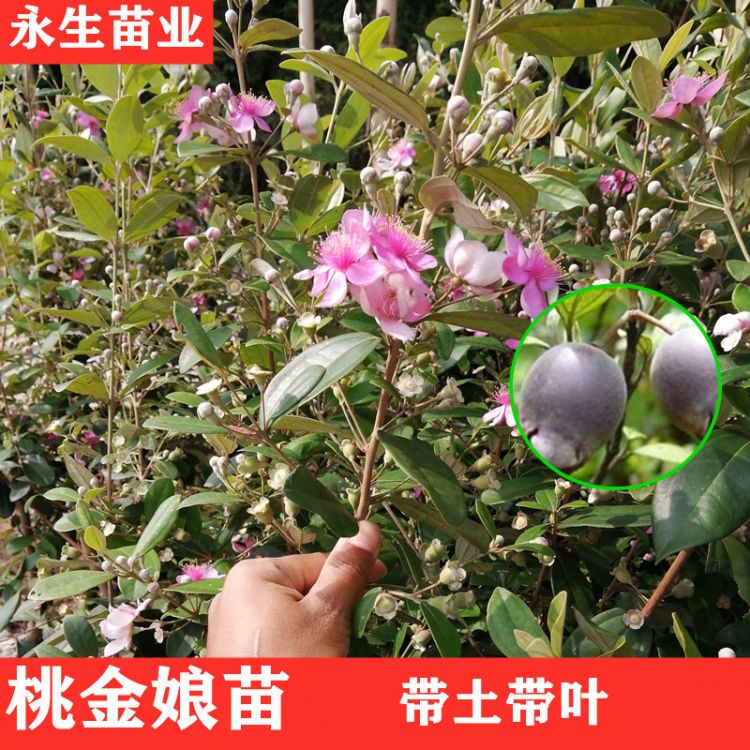 星火诗社九十二期梁同余个人专辑《百花争艳,百韵同辉》(图18)