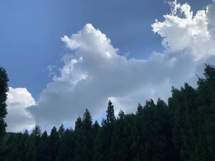雷学刚七夕作品