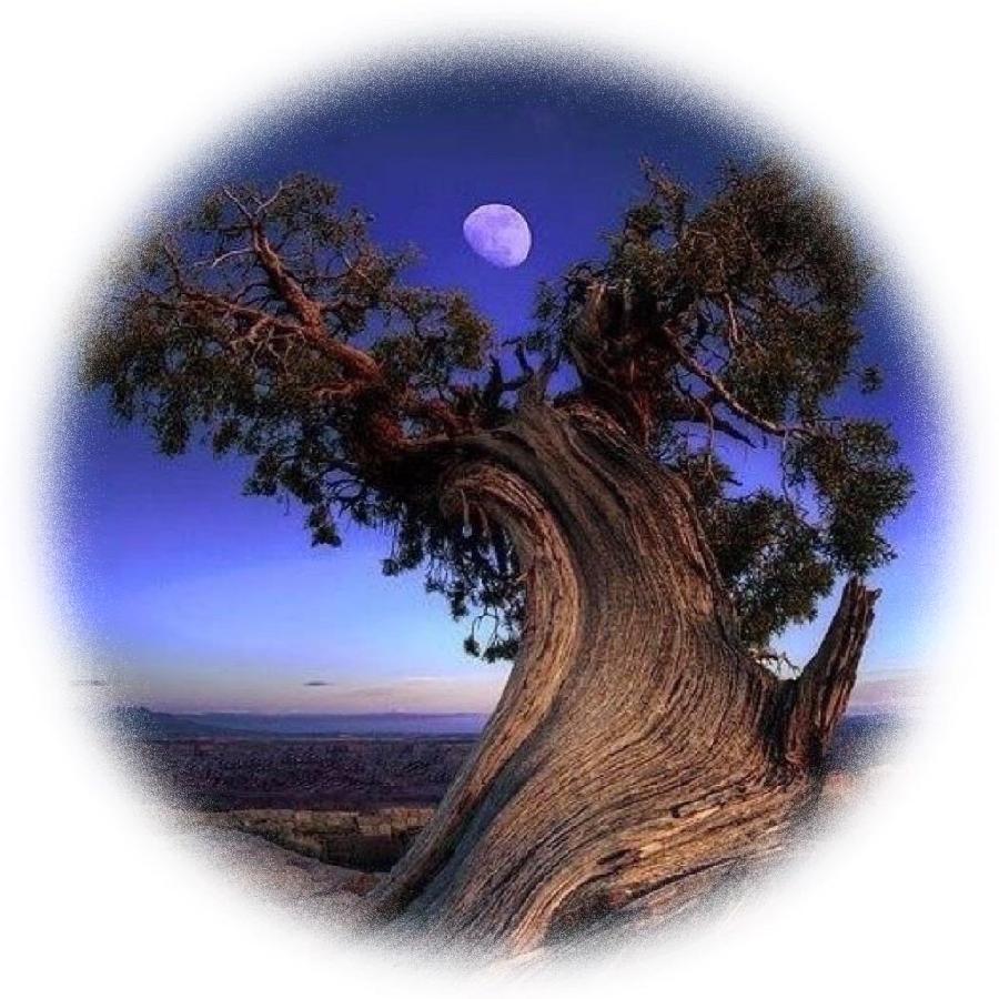 青士李振汉:七夕之夜（图3）