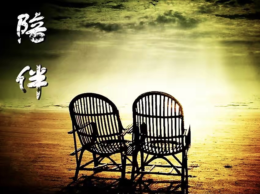 【新诗大观】陪伴||文/花惜柔