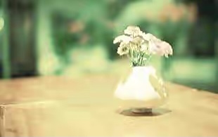 【新诗大观】陪伴||文/花惜柔（图2）