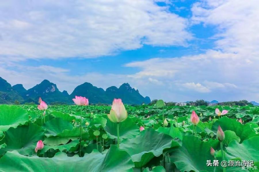 推荐【神州源流诗苑】第706期[优秀近体诗]周刊（图12）