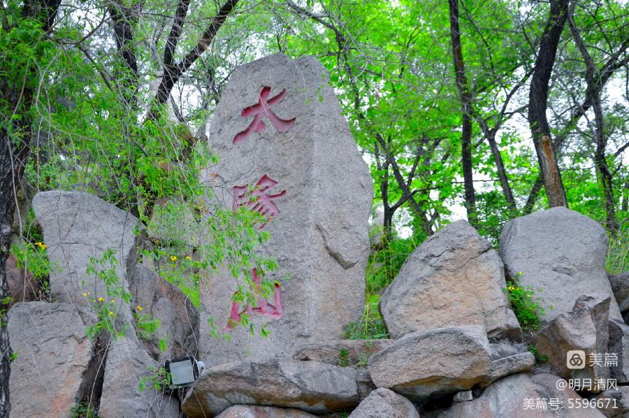 邹淑华:哈尔滨太阳岛(上集)（图36）