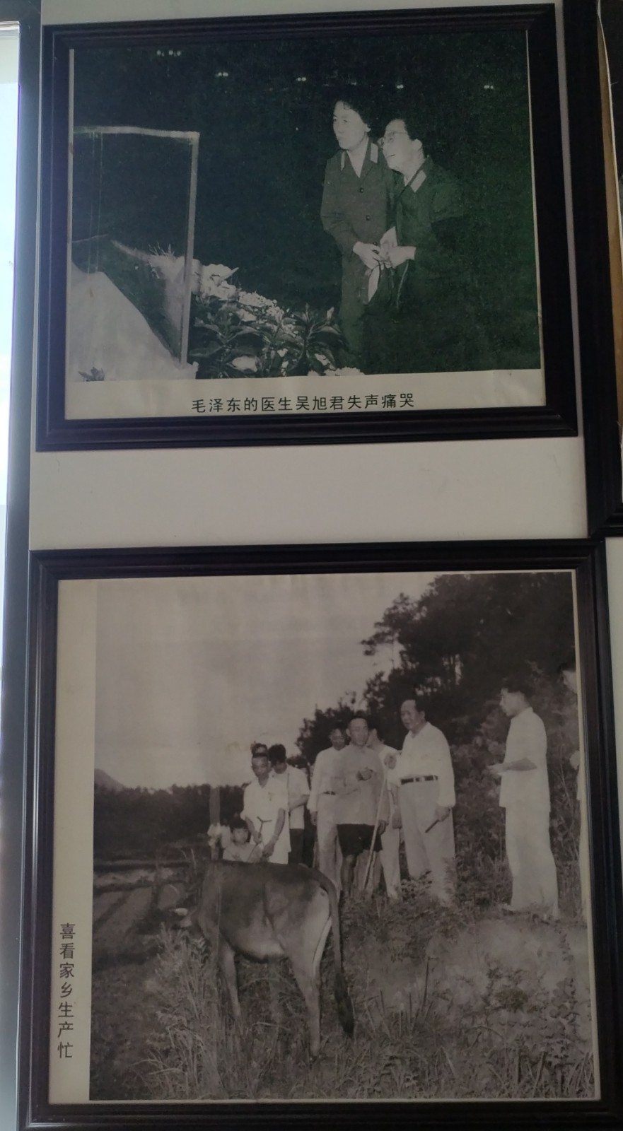 【红色记忆】张富贵：点赞红色收藏家袁国林（自由体诗）*北京头条•西安头条•都市头条发布！（图69）