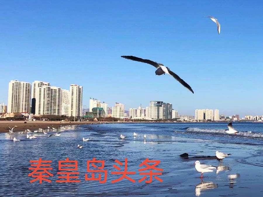 诗词名篇与秦皇岛(161)(图2)