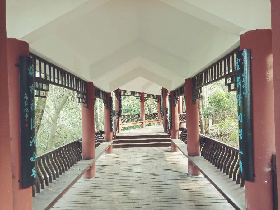《咸宁桂花联话》作者:胡盛忠(图3)