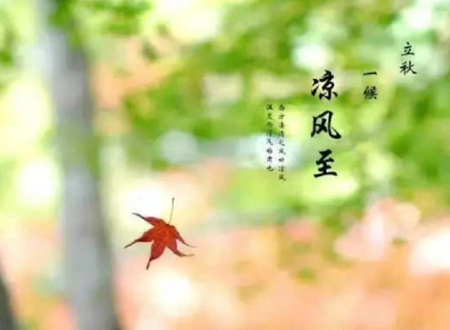 七律•立秋 (组诗) 诗‖张玉学(图4)