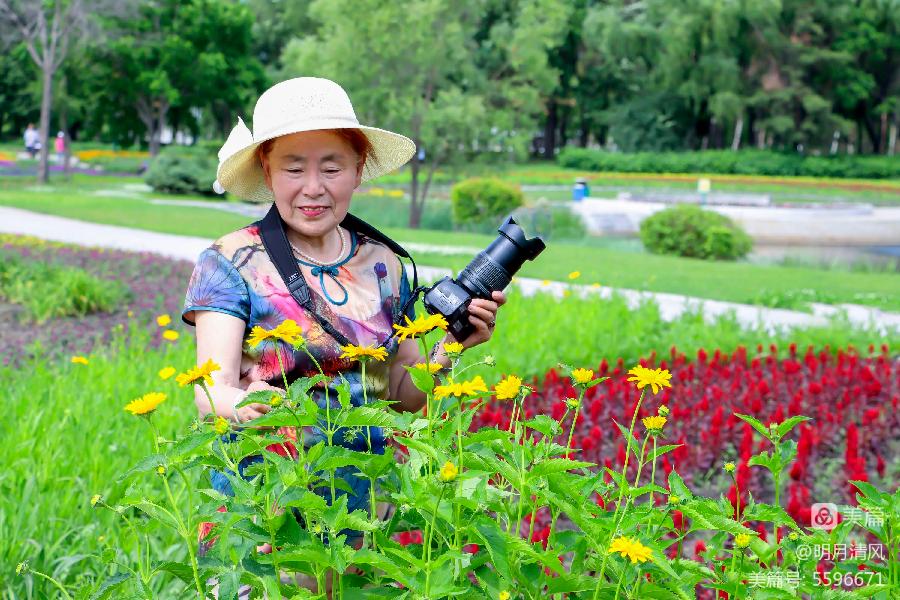 邹淑华:哈尔滨太阳岛(上集)（图54）