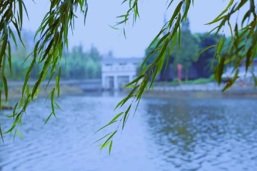 古风•中国这十年,台安大变化(36首)诗/盛百珍(辽宁台安)(图4)