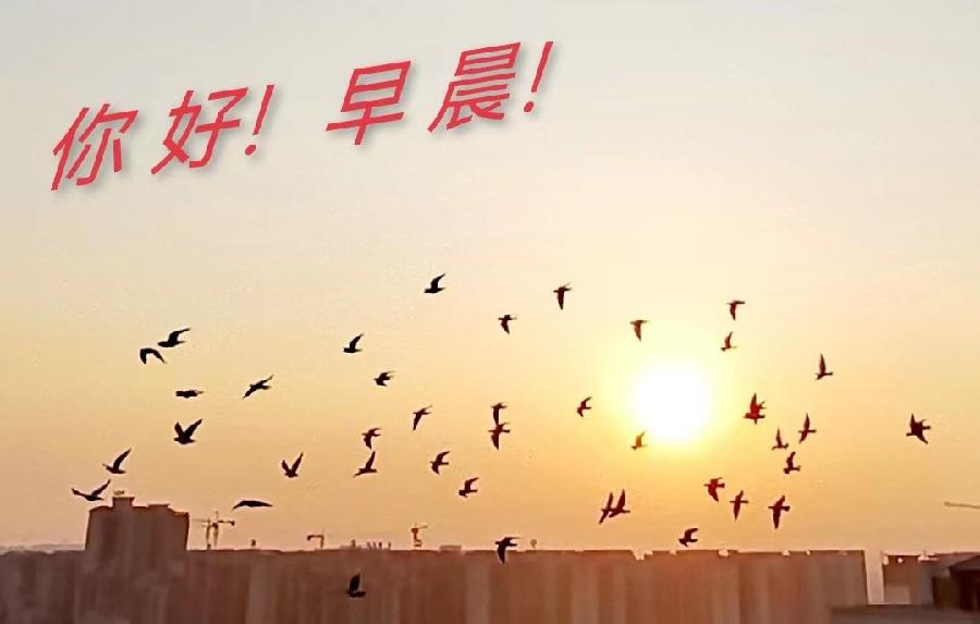 《名家专刊》【九江文学社:北京头条】李小燕老师佳作欣赏(图9)