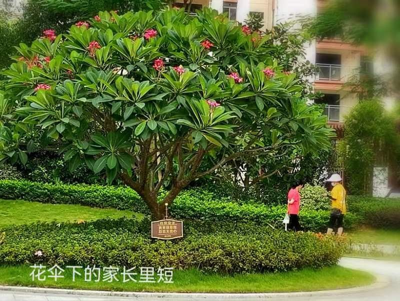 《名家专刊》【九江文学社:北京头条】李小燕老师佳作欣赏(图19)