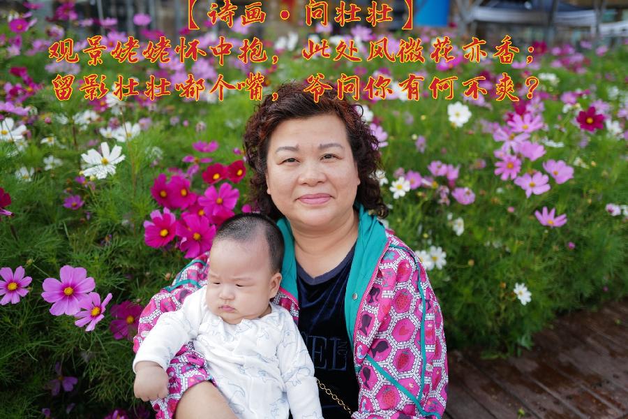 【诗画•宝娃写意】十首（图8）