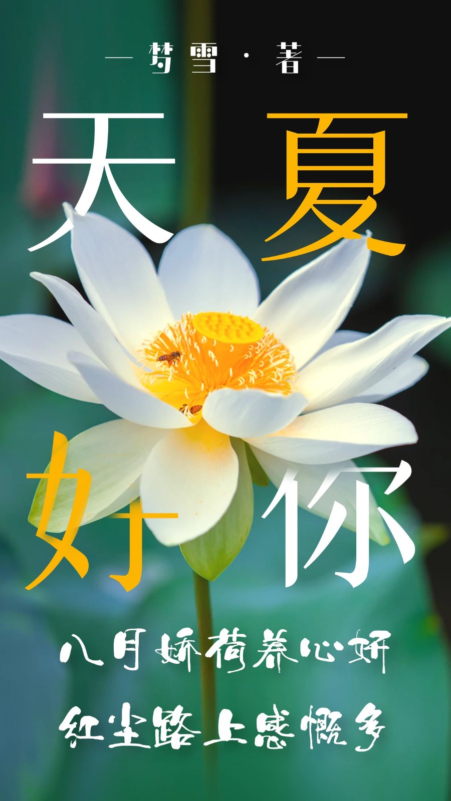 【当代文艺】《八月娇荷养心妍,红尘路上感慨多》作者:梦雪(图2)