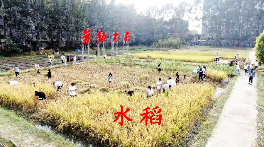 《锦城的故事◎特刊专集》诗文◎陶德元（图15）