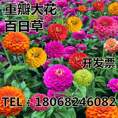 星火诗社九十二期梁同余个人专辑《百花争艳,百韵同辉》(图85)