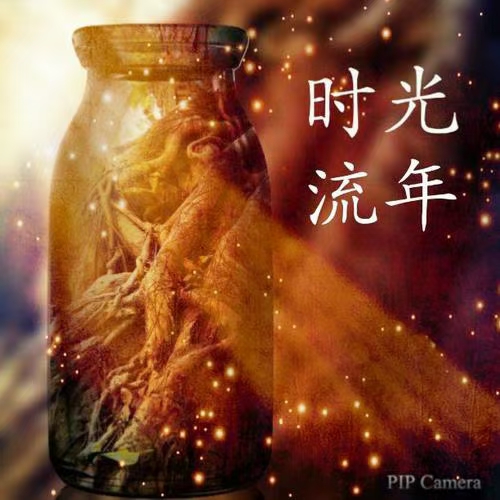 《全球诗人艺术家月刊》美洲诗人与欧洲诗人对话(图28)