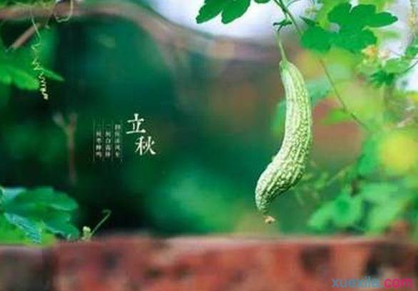 袁兆姝老师诗词专辑（图3）