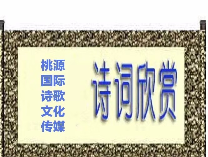 【桃园国际诗歌馨声】七夕,酒店是红色的‖作者:憨豆大叔‖主播:三毛【总1145期】(图13)