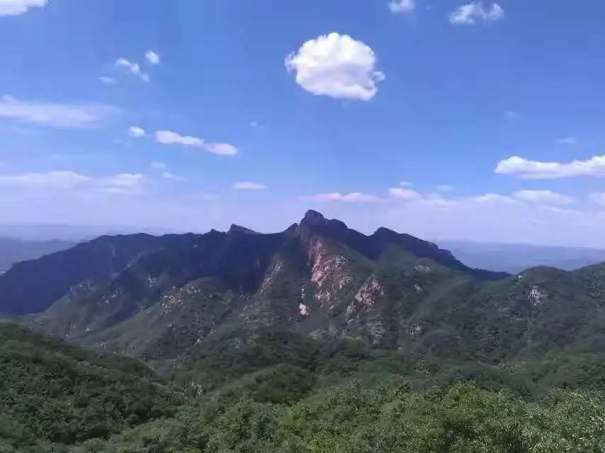 【新诗大观】炫出自己的语言风采——姚勇《鹊山，紫蓝色的七月》语言特色浅析||文/李阳海