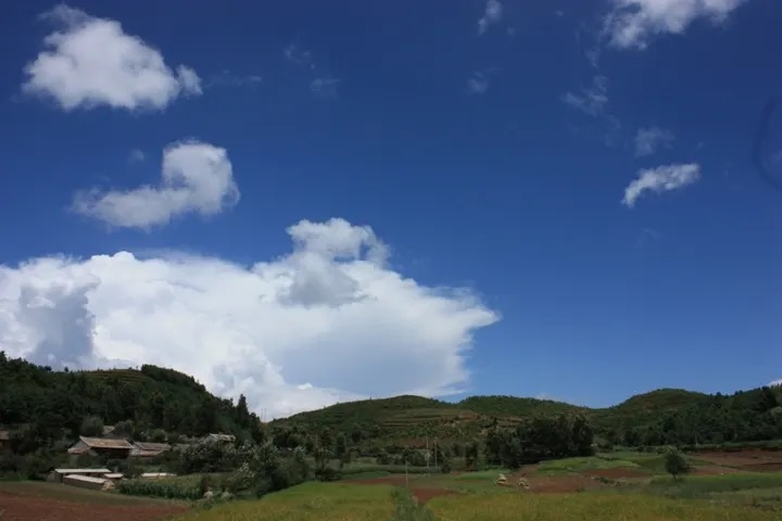 【新诗大观】炫出自己的语言风采——姚勇《鹊山，紫蓝色的七月》语言特色浅析||文/李阳海（图2）