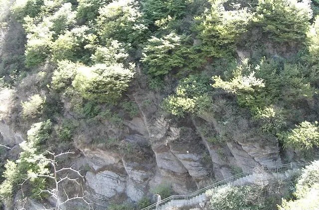 【新诗大观】炫出自己的语言风采——姚勇《鹊山，紫蓝色的七月》语言特色浅析||文/李阳海（图5）