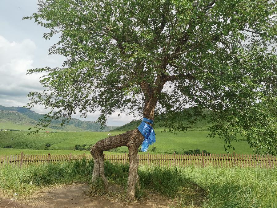 红榜诗人山野之水蒙古草原诗二首（系列三）