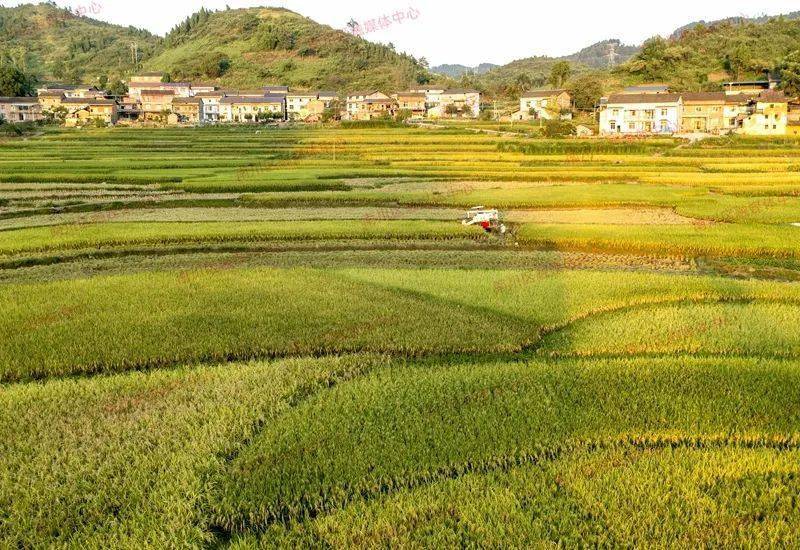 诗二首·伏暑迎秋 作者/王秀北（图3）