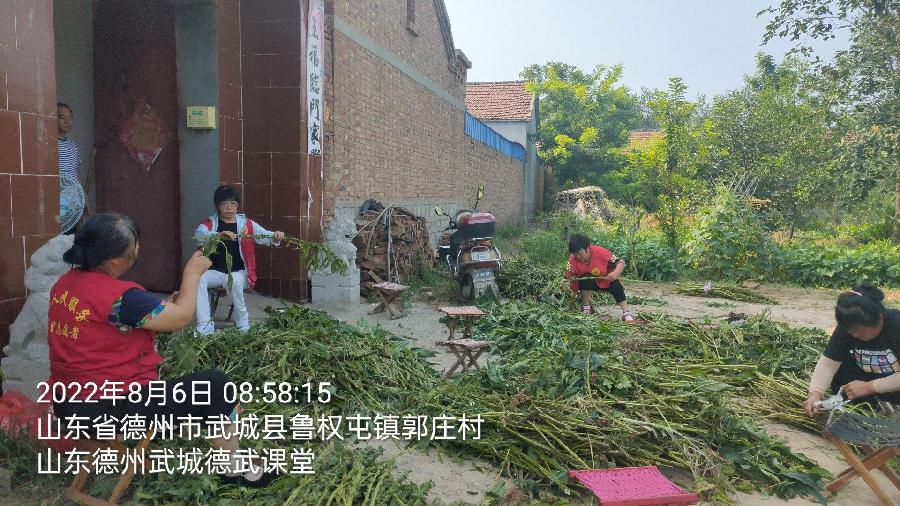 志愿者拥军 军民一家亲(图4)