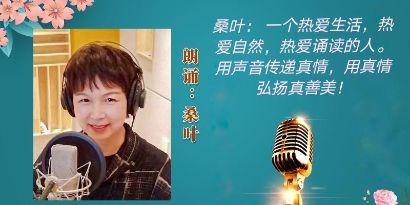同题诵读【读一朵花开】作者/六月荷 朗诵/听你花开的港湾主播团（图10）