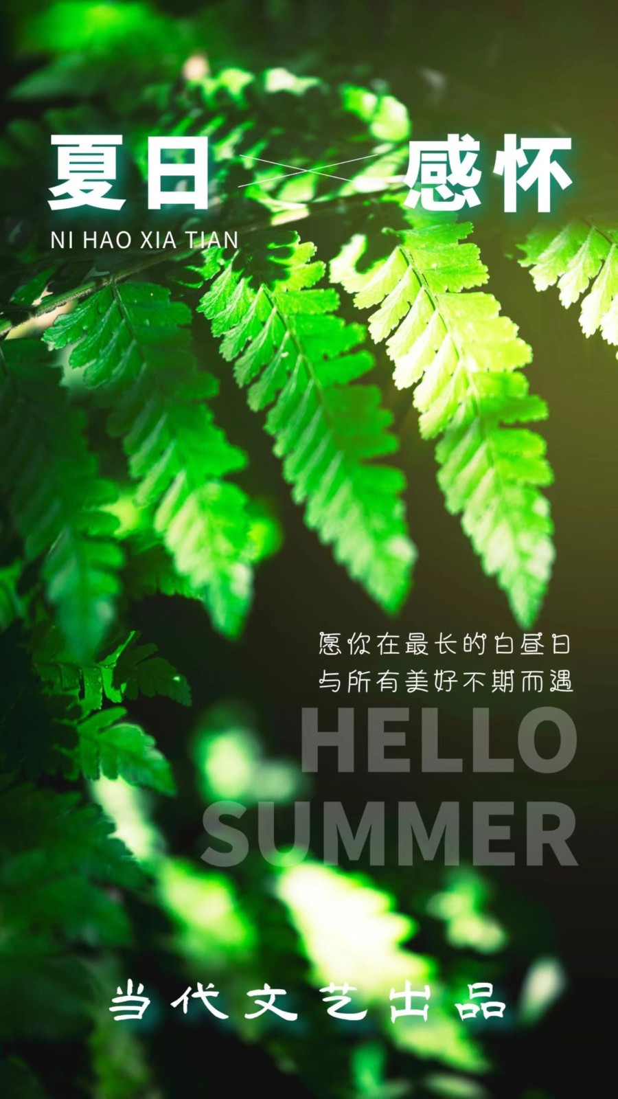 【当代文艺】《诗词八首•夏日感怀》作者:龚孝志(图2)