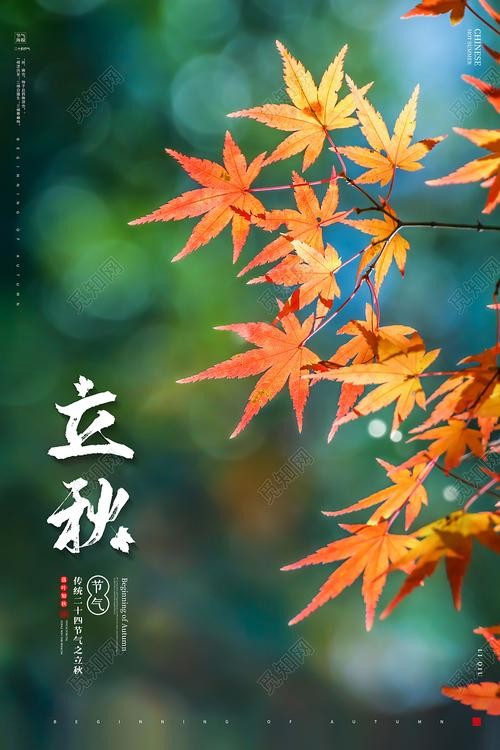 联机全球发布朱庆利精品诗歌（图6）