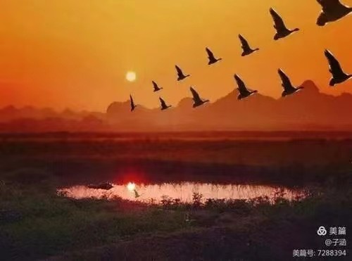 【桃源国际诗歌馨声】立秋‖作者:吴先和‖主播:梦醒群岚【总1146期】(图7)