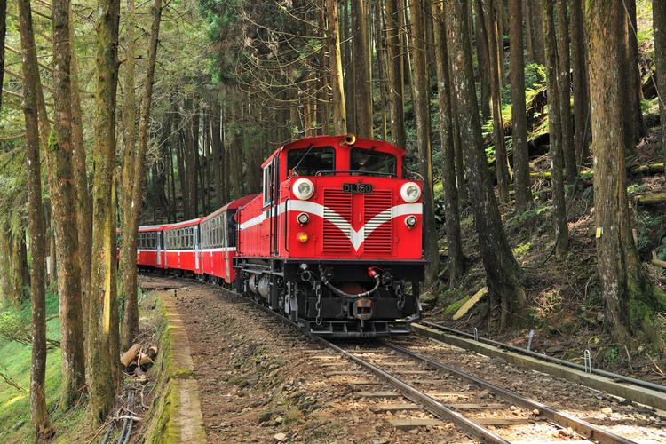 【华夏好诗词】分享王玉良《回来吧阿里山 归来吧日月潭》（图5）