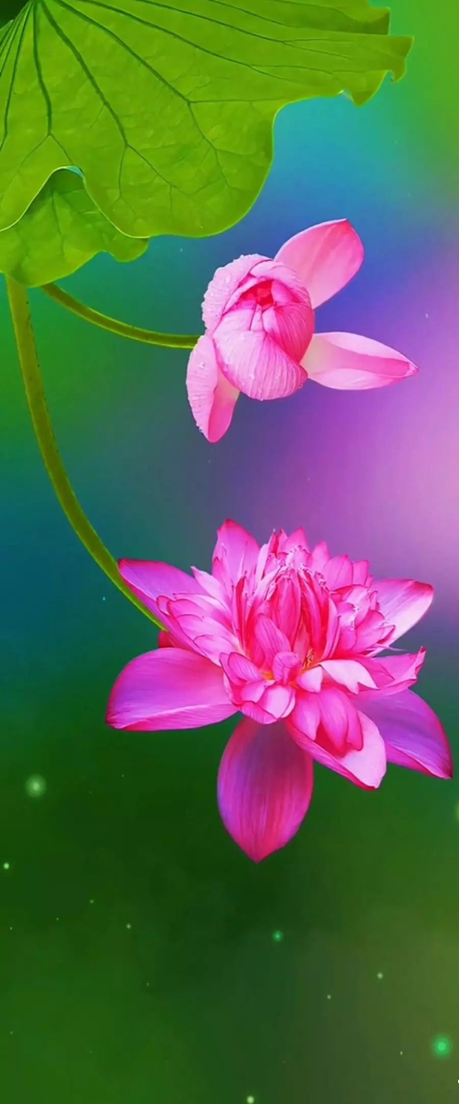 【华夏好诗词】分享灯火阑珊《立秋小吟》（原创）请欣赏（图12）