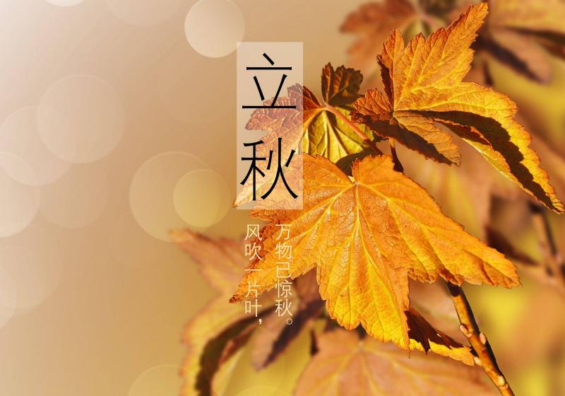 【齐鲁风】分享刘春耀老师《七律•立秋》请欣赏（图4）