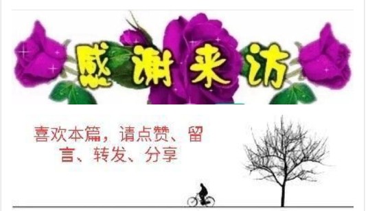 云山群《立秋》专辑【都市头条】云山文化传媒(图5)