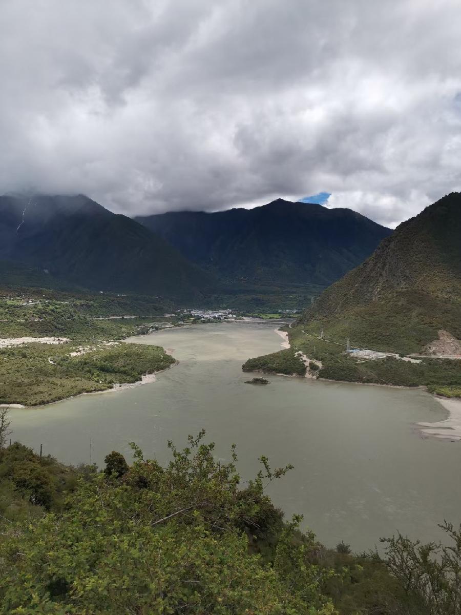 梧桐树:旅游随拍(图4)