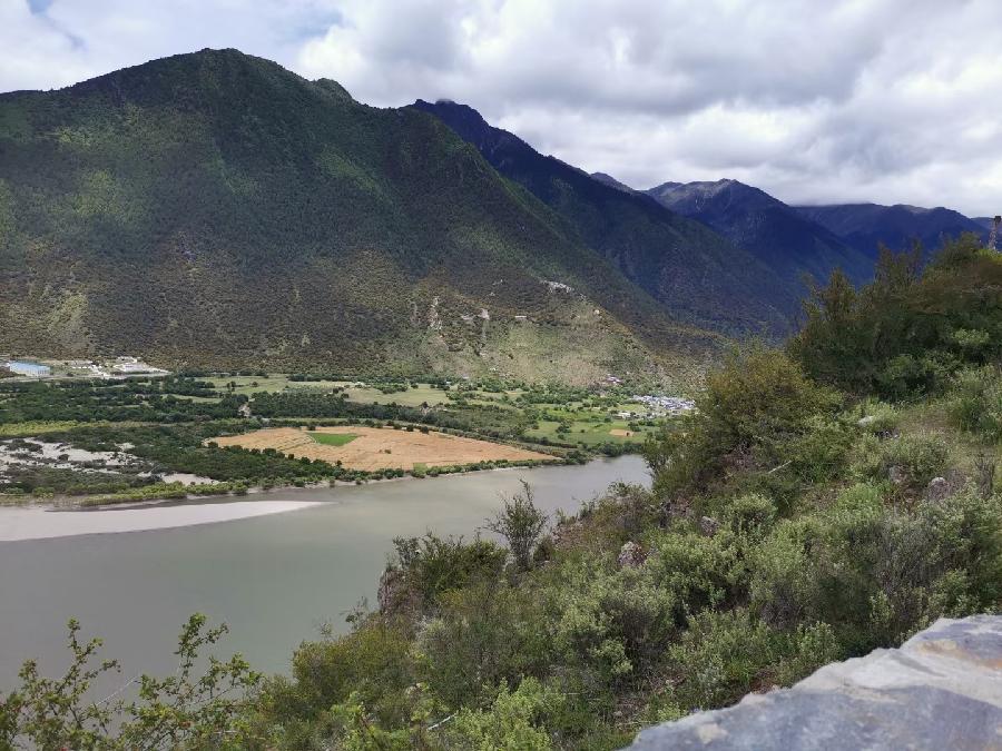 梧桐树:旅游随拍(图5)