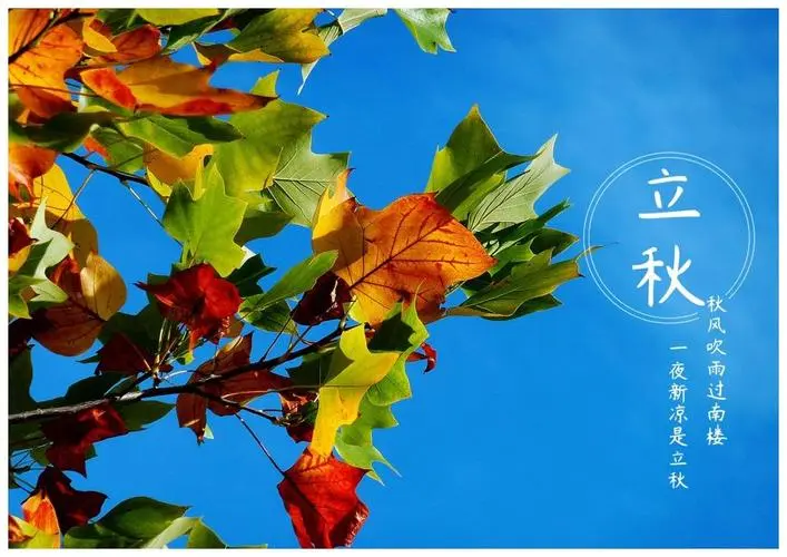 云山群《立秋》专辑【都市头条】云山文化传媒(图2)